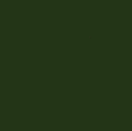 60000037.png
