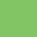 60000069.png