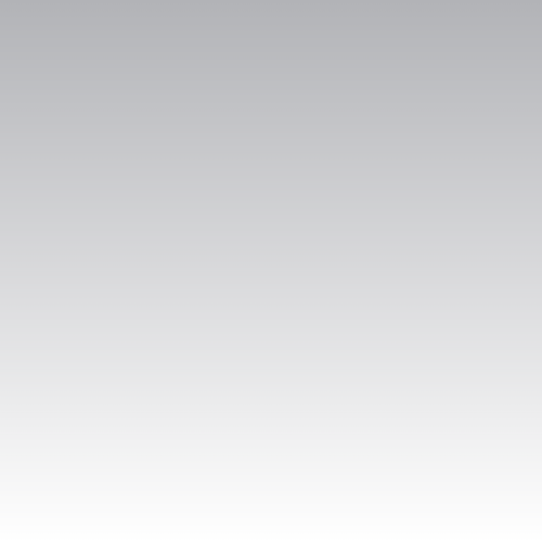 Montana Effect - Metallic EMC1010 Titanium - 400 ml.png