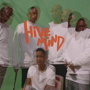 The Internet "Hive Mind" 2LP