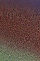 EFFECT_SPRAY_CRACKLE_DETAIL-02.jpg