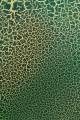 EFFECT_SPRAY_CRACKLE_DETAIL-01.jpg