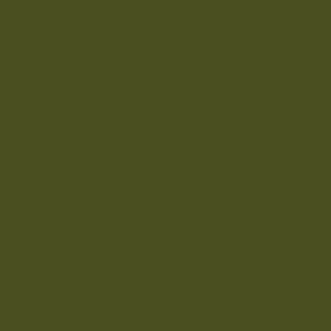 Montana Gold - CL6340 Olive Green - 400 ml